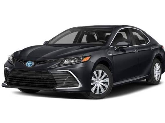 TOYOTA CAMRY 2022 4T1C31AK5NU595885 image