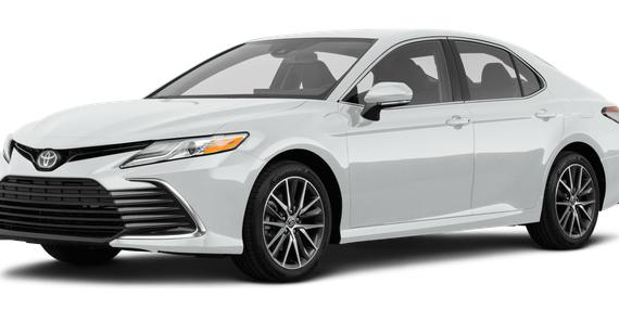 TOYOTA CAMRY 2022 4T1C11BK9NU054620 image