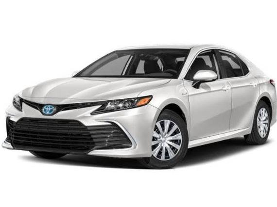 TOYOTA CAMRY 2022 4T1C31AK7NU584306 image