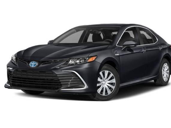 TOYOTA CAMRY 2022 4T1C31AKXNU036204 image