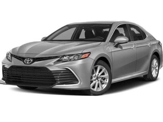 TOYOTA CAMRY 2022 4T1C11AK6NU691031 image