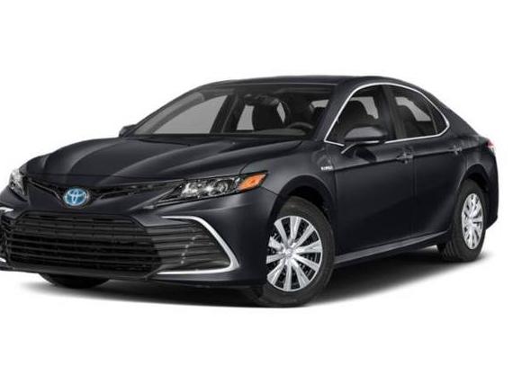 TOYOTA CAMRY 2022 4T1S31AKXNU573263 image