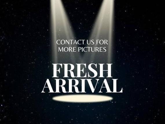 TOYOTA CAMRY 2022 4T1R11BKXNU064163 image TOYOTA CAMRY 2022 4T1R11BKXNU064163 image