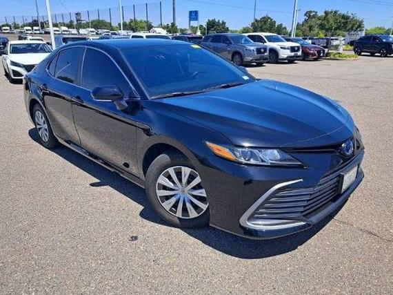 TOYOTA CAMRY 2022 4T1C31AK8NU584833 image
