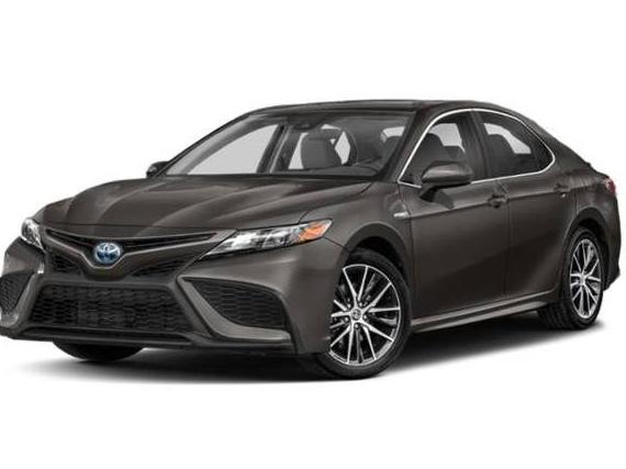 TOYOTA CAMRY 2022 4T1S31AKXNU035808 image