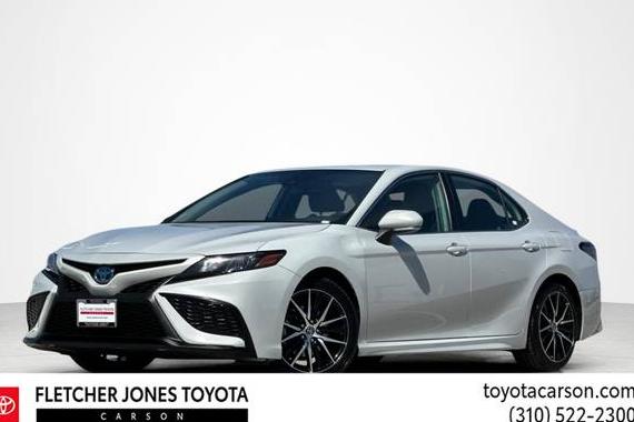 TOYOTA CAMRY 2022 4T1S31AK6NU039581 image