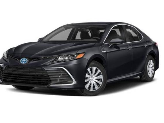 TOYOTA CAMRY 2022 4T1C31AK4NU595439 image
