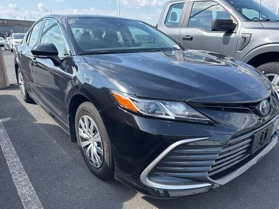 TOYOTA CAMRY 2022 4T1C31AK8NU595153 image