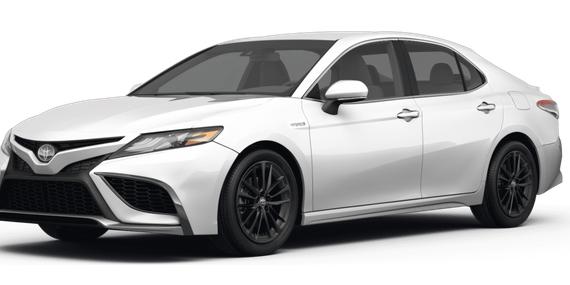 TOYOTA CAMRY 2022 4T1G31AKXNU036527 image