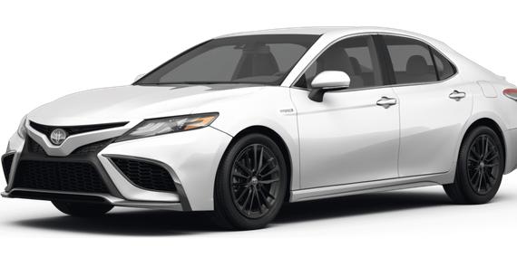 TOYOTA CAMRY 2022 4T1G31AK6NU045371 image