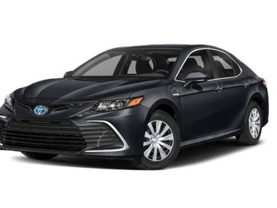 TOYOTA CAMRY 2022 4T1C31AK9NU037036 image