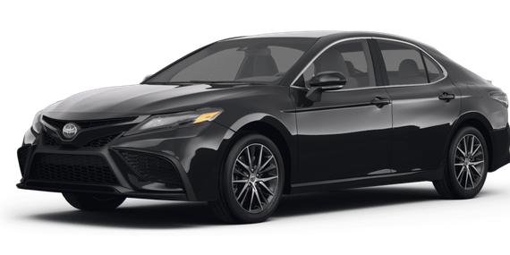 TOYOTA CAMRY 2022 4T1G11AK1NU029374 image
