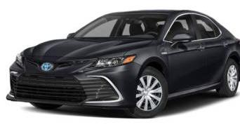 TOYOTA CAMRY 2022 4T1F31AK1NU591958 image