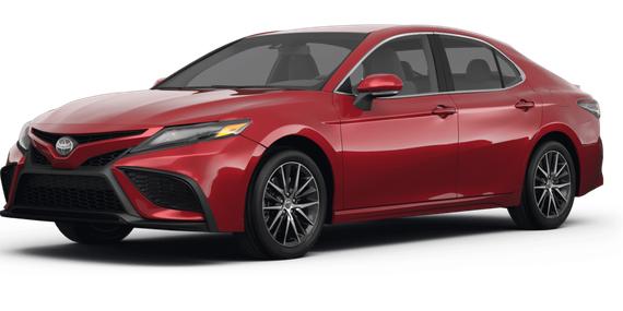 TOYOTA CAMRY 2022 4T1G11BK9NU072486 image