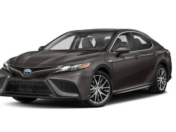 TOYOTA CAMRY 2022 4T1S31AK0NU596440 image