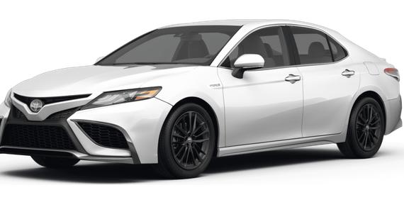 TOYOTA CAMRY 2022 4T1G31AK6NU598067 image