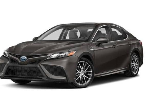TOYOTA CAMRY 2022 4T1G31AK6NU035259 image