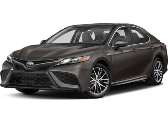 TOYOTA CAMRY 2022 4T1G31AK7NU043435 image