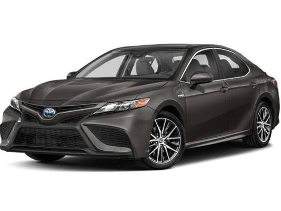 TOYOTA CAMRY 2022 4T1G31AK7NU593914 image