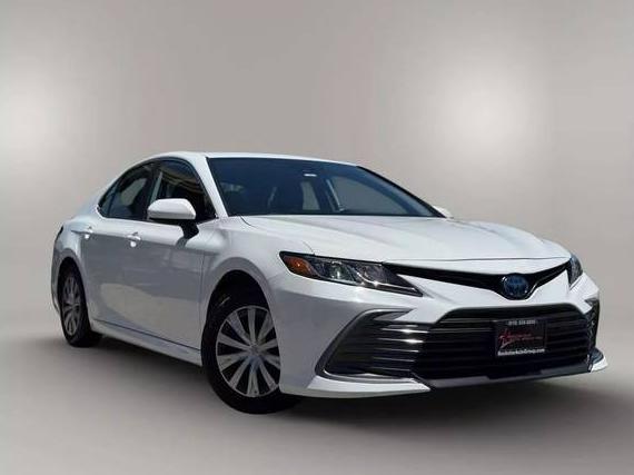 TOYOTA CAMRY 2022 4T1C31AK8NU599249 image
