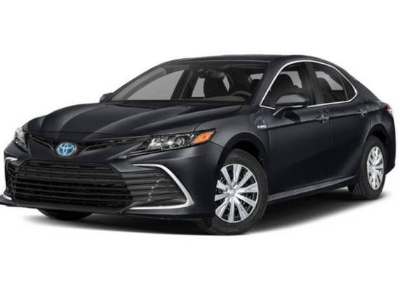 TOYOTA CAMRY 2022 4T1C31AK8NU580832 image