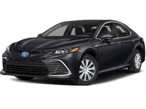 TOYOTA CAMRY 2022 4T1C31AK7NU597413 image