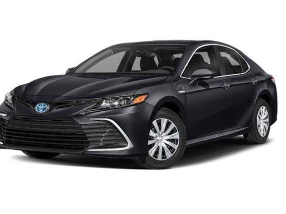 TOYOTA CAMRY 2022 4T1C31AK6NU038211 image