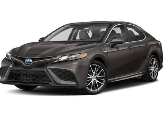 TOYOTA CAMRY 2022 4T1G31AK2NU033542 image