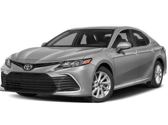 TOYOTA CAMRY 2022 4T1C11AK0NU691915 image