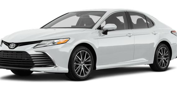 TOYOTA CAMRY 2022 4T1C31AK1NU042036 image