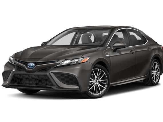 TOYOTA CAMRY 2022 4T1G31AK7NU570410 image