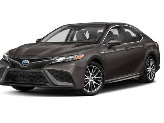 TOYOTA CAMRY 2022 4T1G31AK9NU033585 image