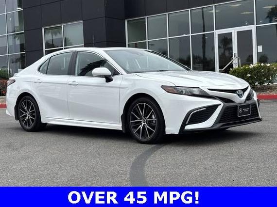 TOYOTA CAMRY 2022 4T1S31AK8NU583595 image