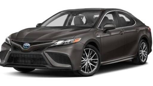 TOYOTA CAMRY 2022 4T1S31AK6NU589010 image