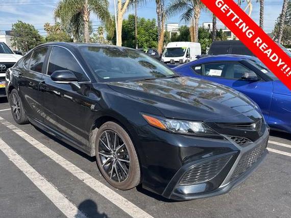 TOYOTA CAMRY 2022 4T1S31AK2NU587996 image