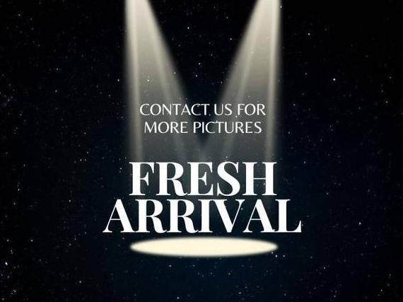 TOYOTA YARIS 2009 JTDKT903595232267 image