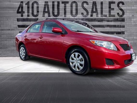 TOYOTA COROLLA 2010 2T1BU4EE9AC516129 image