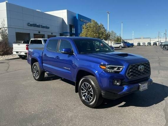 TOYOTA TACOMA 2023 3TMCZ5AN1PM582546 image TOYOTA TACOMA 2023 3TMCZ5AN1PM582546 image