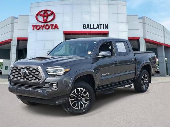 TOYOTA TACOMA 2023 3TMCZ5AN5PM624085 image