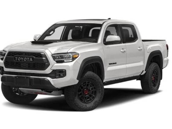 TOYOTA TACOMA 2023 3TMCZ5AN8PM655041 image