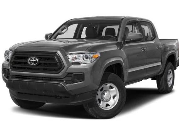 TOYOTA TACOMA 2023 3TMCZ5AN4PM630816 image