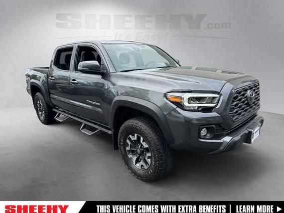 TOYOTA TACOMA 2023 3TMCZ5AN4PM600781 image TOYOTA TACOMA 2023 3TMCZ5AN4PM600781 image