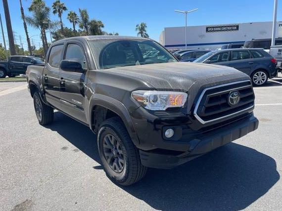 TOYOTA TACOMA 2023 3TMCZ5AN5PM636981 image