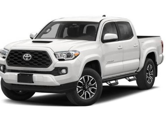 TOYOTA TACOMA 2023 3TMCZ5AN3PM631438 image TOYOTA TACOMA 2023 3TMCZ5AN3PM631438 image