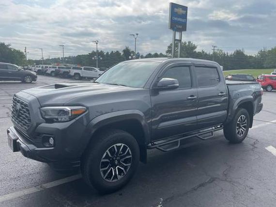 TOYOTA TACOMA 2023 3TMCZ5AN8PM633282 image