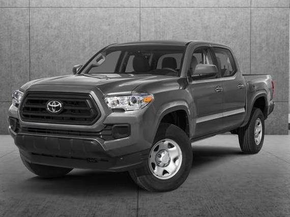 TOYOTA TACOMA 2023 3TMCZ5AN7PM604064 image