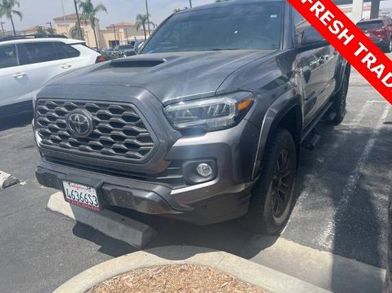 TOYOTA TACOMA 2023 3TMAZ5CN9PM204026 image