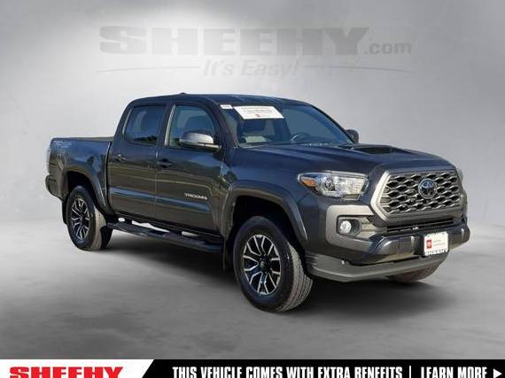 TOYOTA TACOMA 2023 3TMCZ5AN2PM574519 image