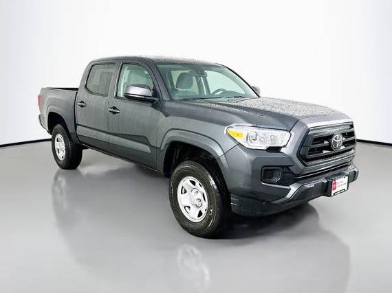 TOYOTA TACOMA 2023 3TMCZ5AN1PM558036 image