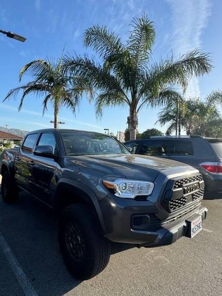 TOYOTA TACOMA 2023 3TMCZ5AN3PM538404 image